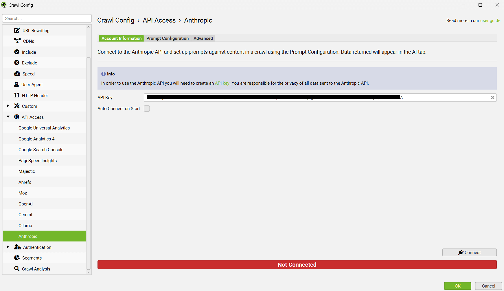Anthropic API integration