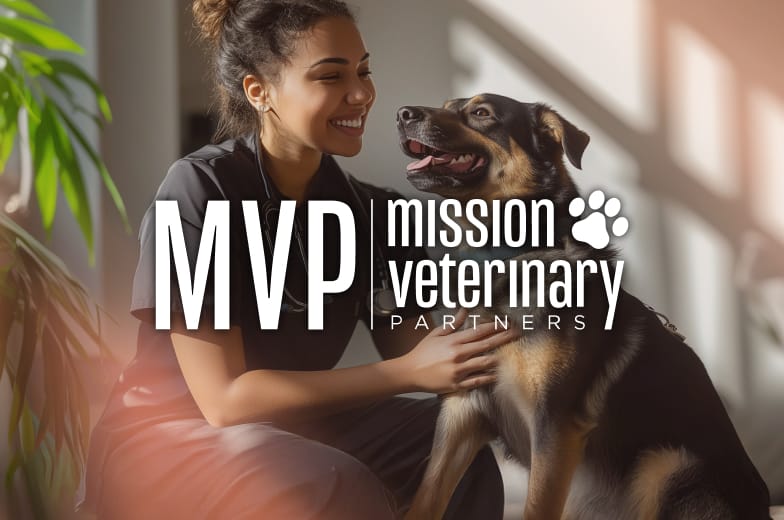 Case Study: See how Mission Veterinary Partners uses Analytics to optimize operations